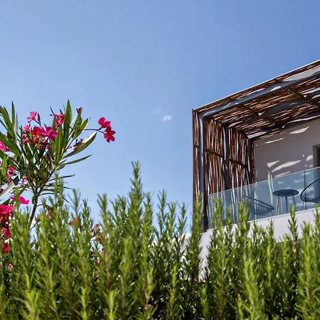 Seaside Tinos 키오니아