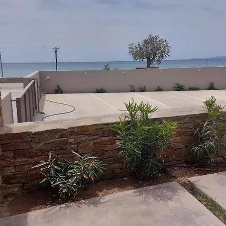 アパート Seaside Tinos キオニア