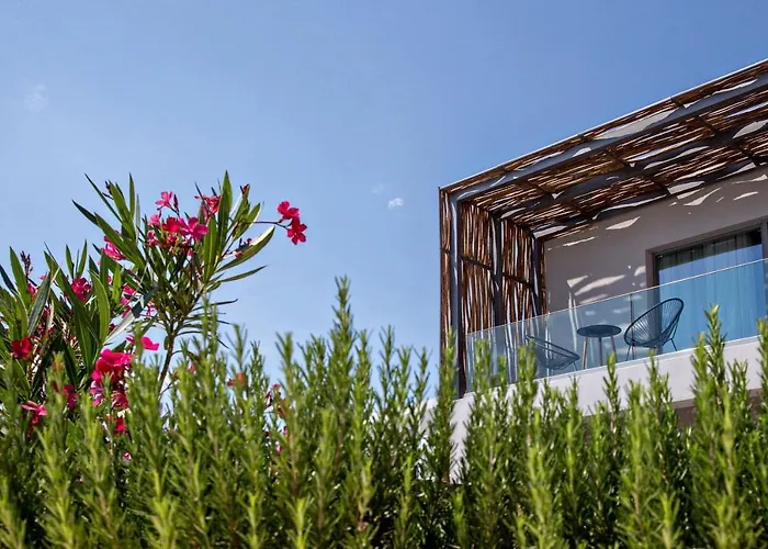 Seaside Tinos 키오니아